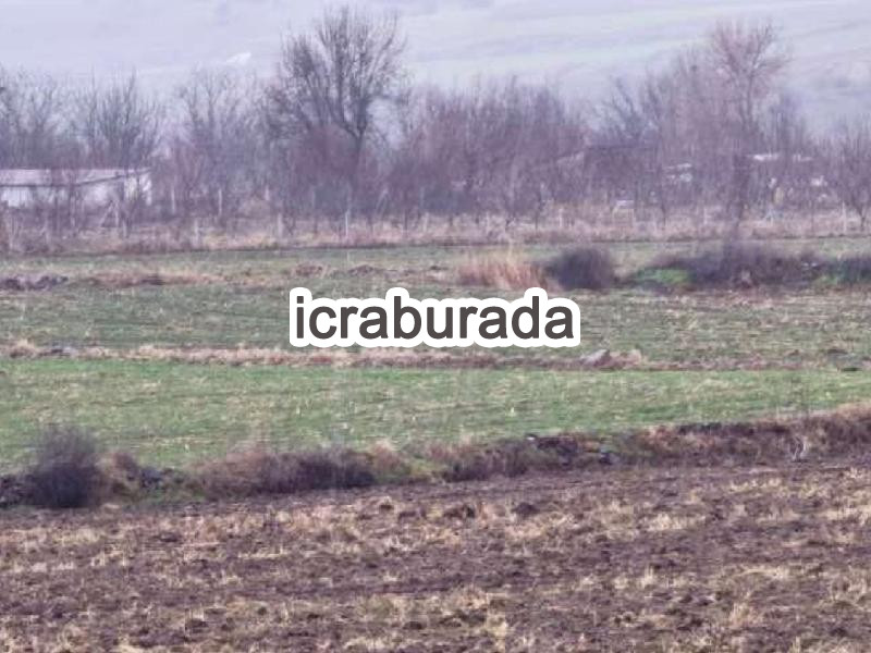 icralık  m2 Tarla Amasya Göynücek Yeni