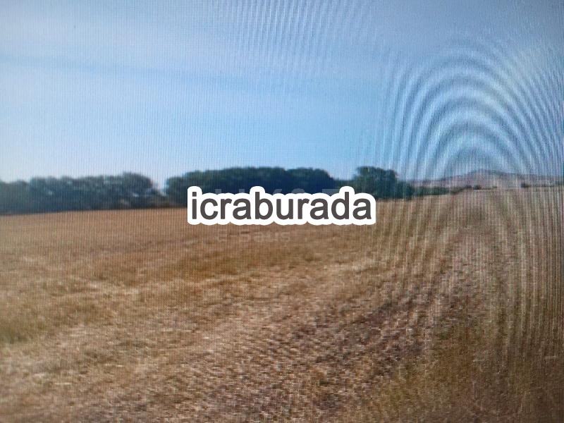 icralık  m2 Tarla Kırşehir Kaman Müderris