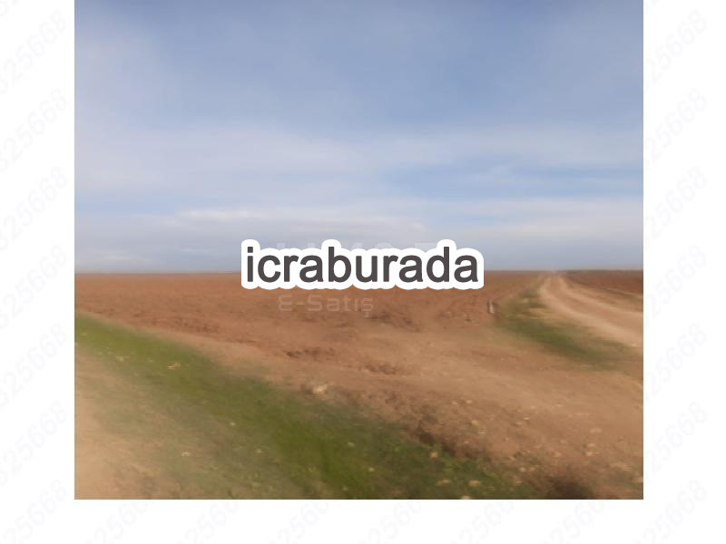 icralık  m2 Tarla Mardin Kızıltepe Odaköy