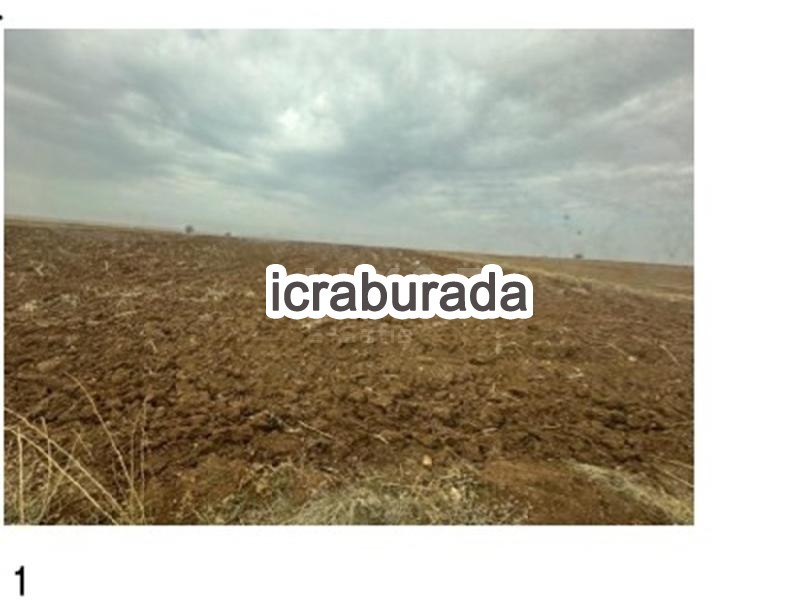 icralık  m2 Tarla Konya Kadınhanı Zafer