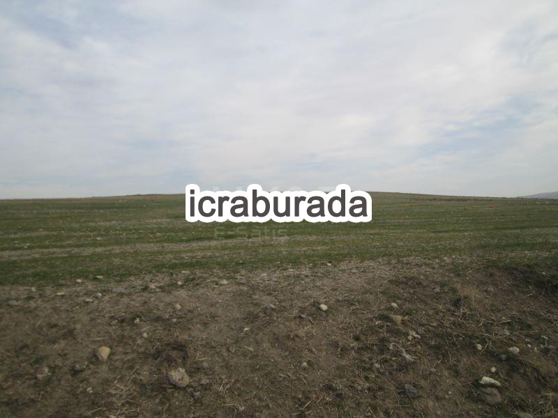 icralık  m2 Tarla Ankara Polatlı Şabanözü