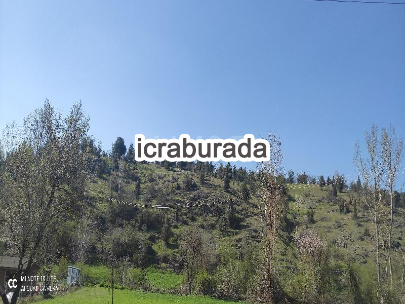 icralık  m2 Diger Bilecik Pazaryeri Ahmetler