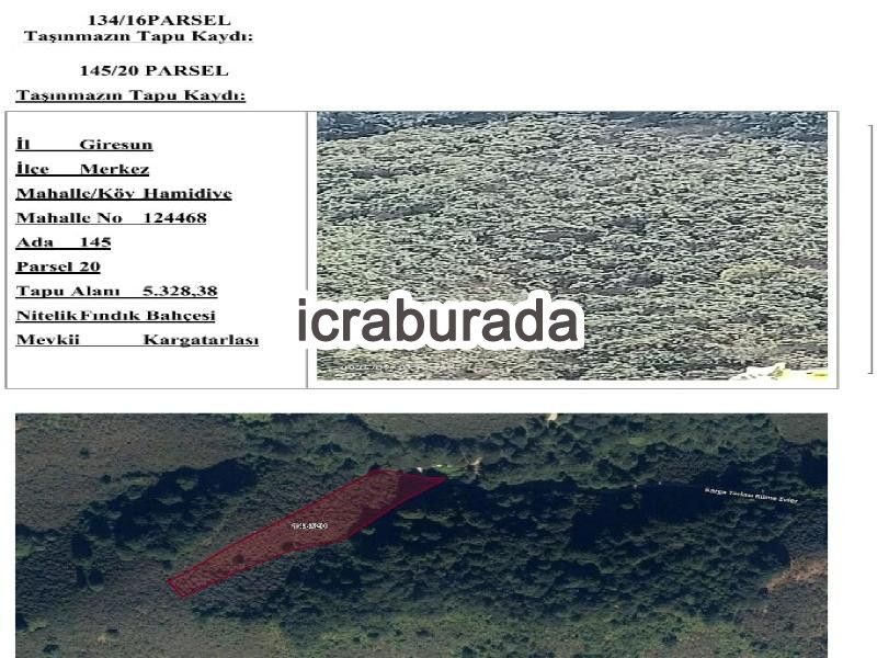 icralık  m2 Tarla Giresun Merkez Hamidiye