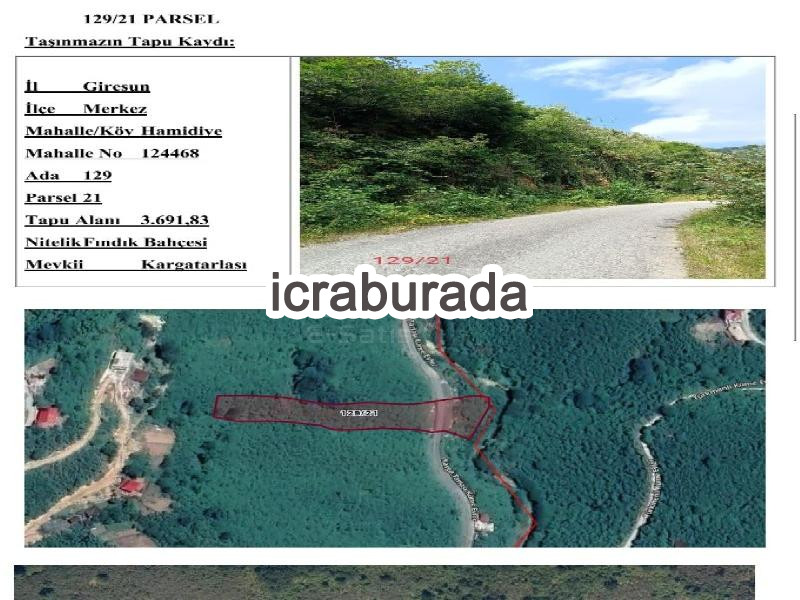 icralık  m2 Tarla Giresun Merkez Hamidiye