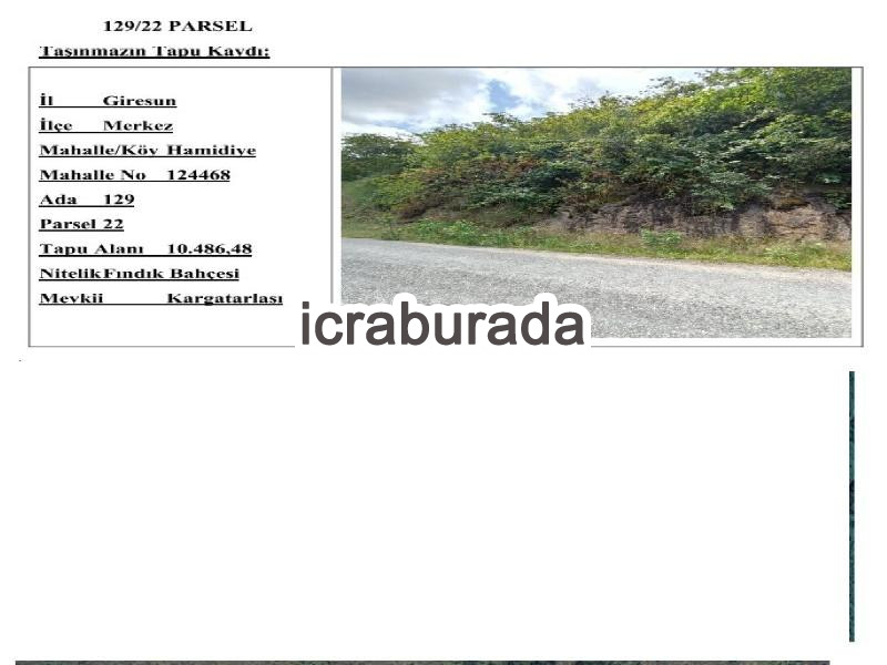icralık  m2 Tarla Giresun Merkez Hamidiye