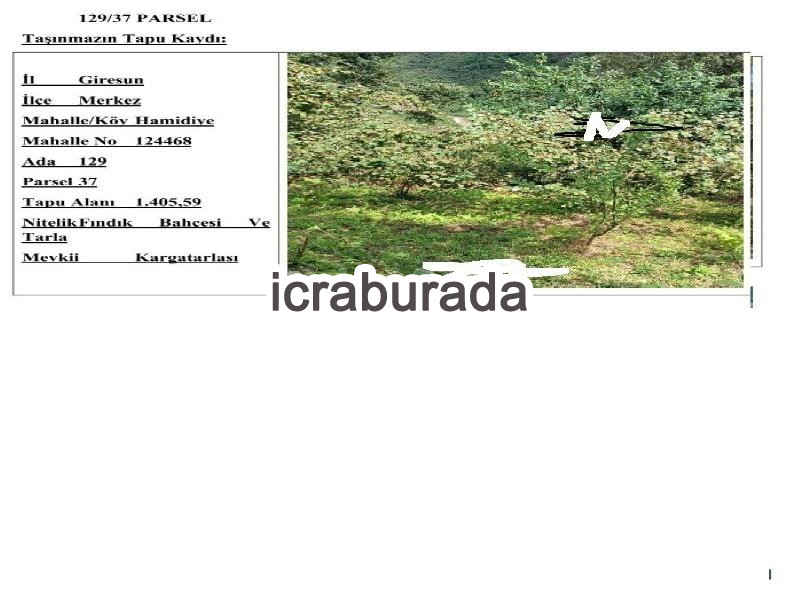 icralık  m2 Tarla Giresun Merkez Hamidiye