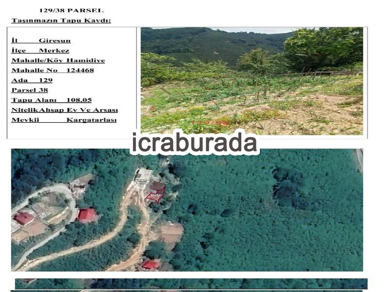 icralık  m2 Tarla Giresun Merkez Hamidiye