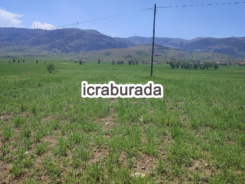 icralık  m2 Tarla Afyonkarahisar Dinar Dombay