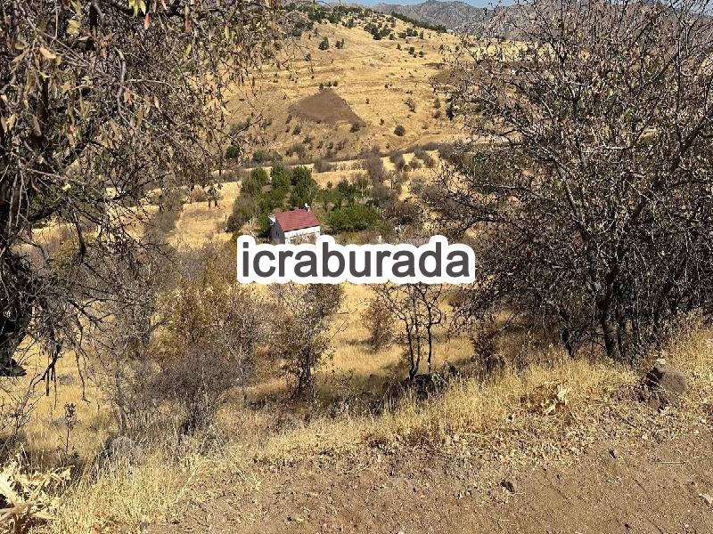 icralık  m2 Bag Elazığ Merkez Zalini