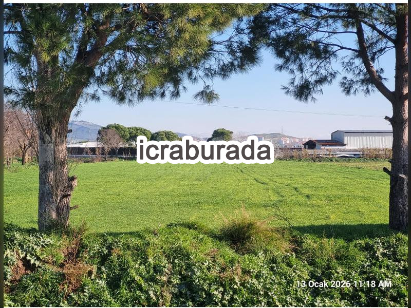 icralık  m2 Tarla İzmir Bergama Ertuğrul