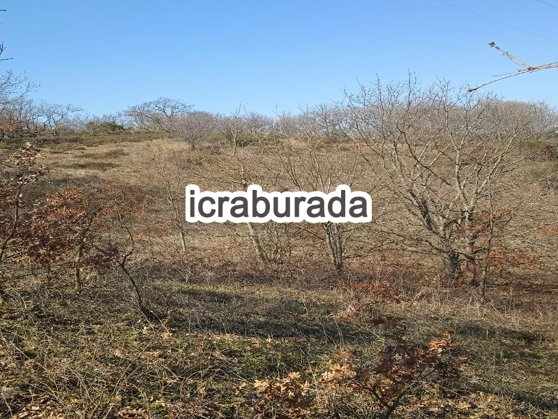icralık  m2 Tarla Çanakkale Çan Asmali