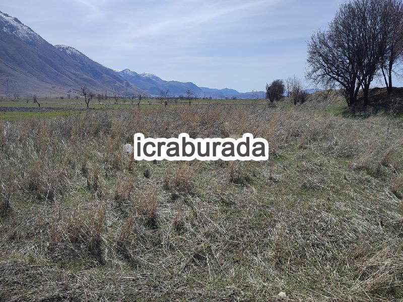 icralık  m2 Tarla Afyonkarahisar Dinar Tatarli