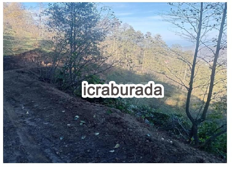 icralık  m2 Tarla Trabzon Şalpazarı Kireç