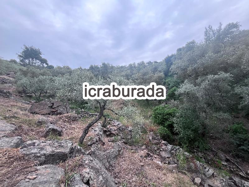 icralık  m2 Diger Muğla Bodrum Çömlekçi