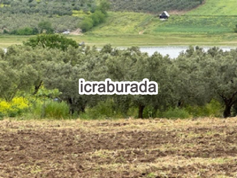icralık  m2 Bag Bursa Mudanya Dedeköy