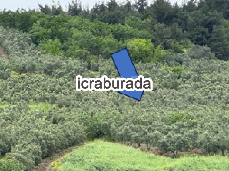 icralık  m2 Tarla Bursa Mudanya Dedeköy