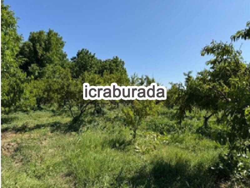 icralık  m2 Tarla Bursa Mudanya Küçükyenice