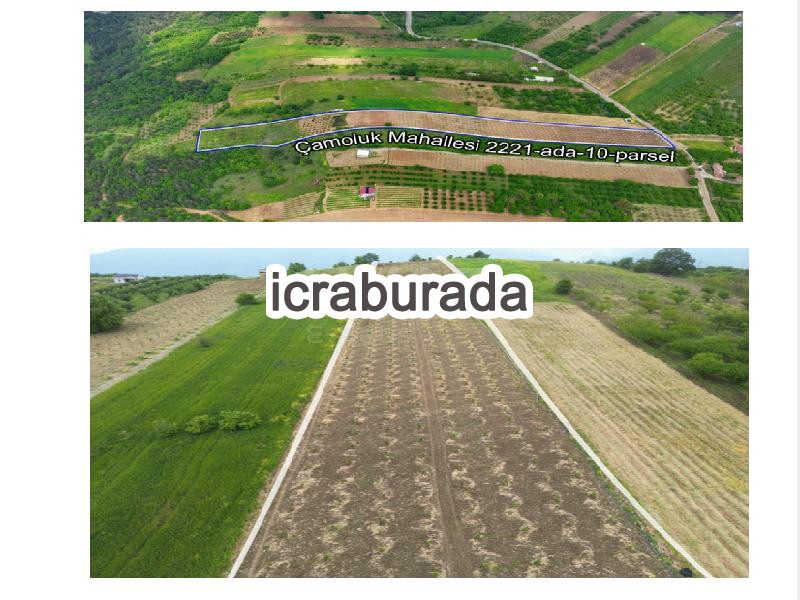 icralık  m2 Tarla Bursa İznik Çamoluk