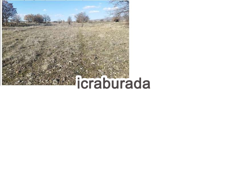 icralık  m2 Tarla Ankara Kızılcahamam Üçbaş