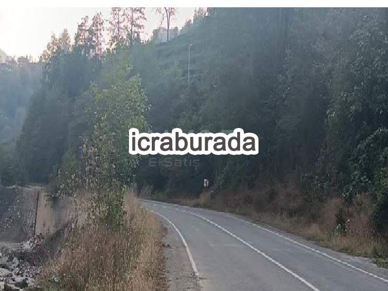 icralık  m2 Tarla Trabzon Hayrat Balaban/merkez