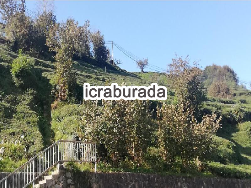 icralık  m2 Diger Trabzon Hayrat Balaban/merkez