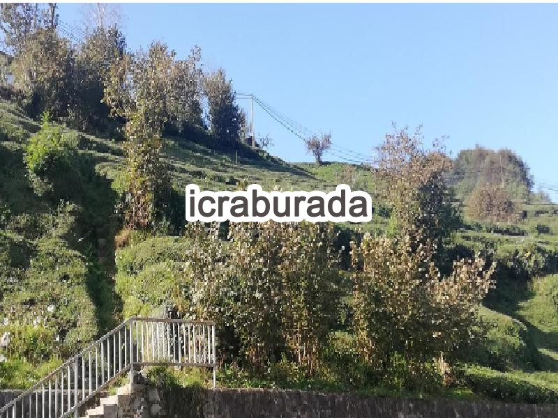 icralık  m2 Diger Trabzon Hayrat Balaban/merkez
