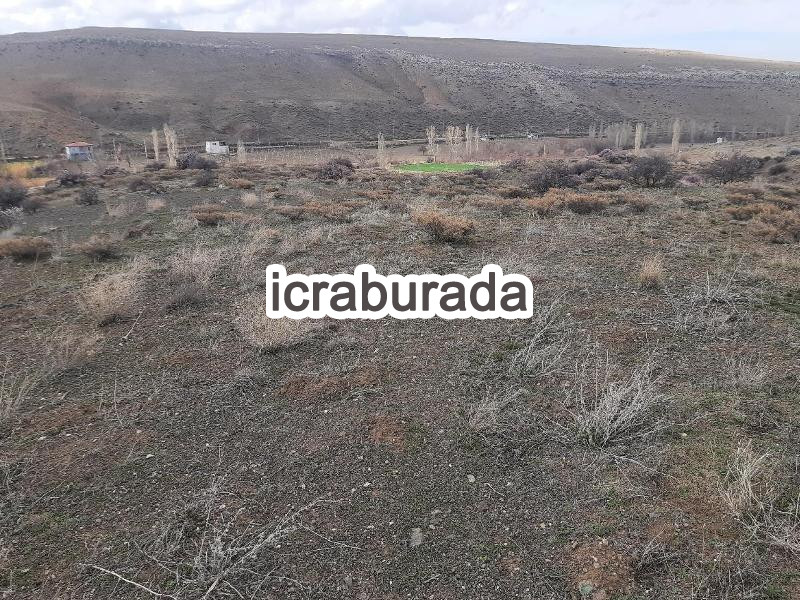 icralık  m2 Diger Niğde Bor Gökbez