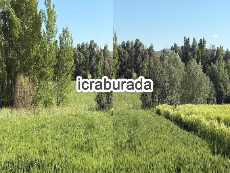 icralık  m2 Tarla Yozgat Sorgun Ayridam