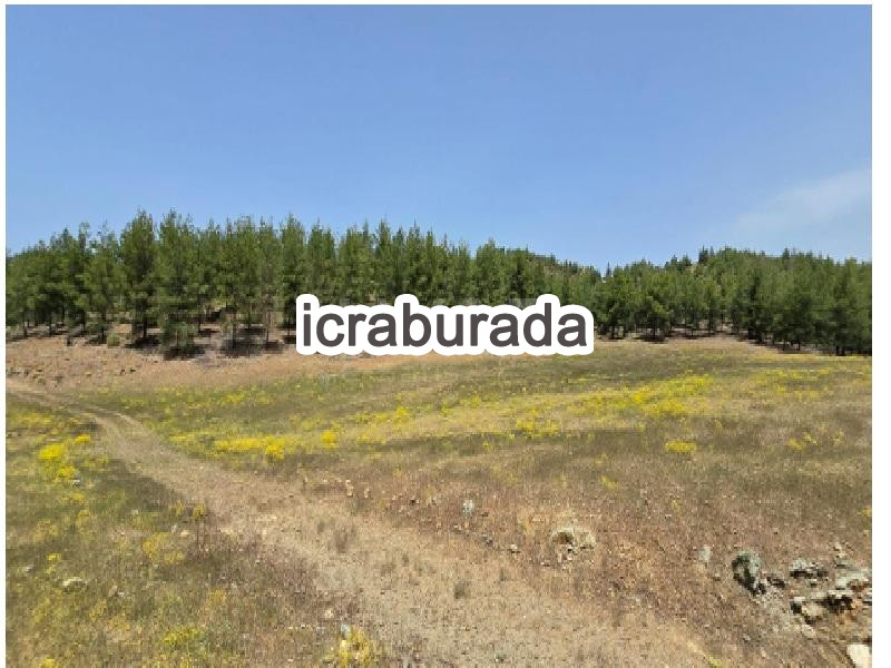 icralık  m2 Tarla Muğla Seydikemer Çobanlar