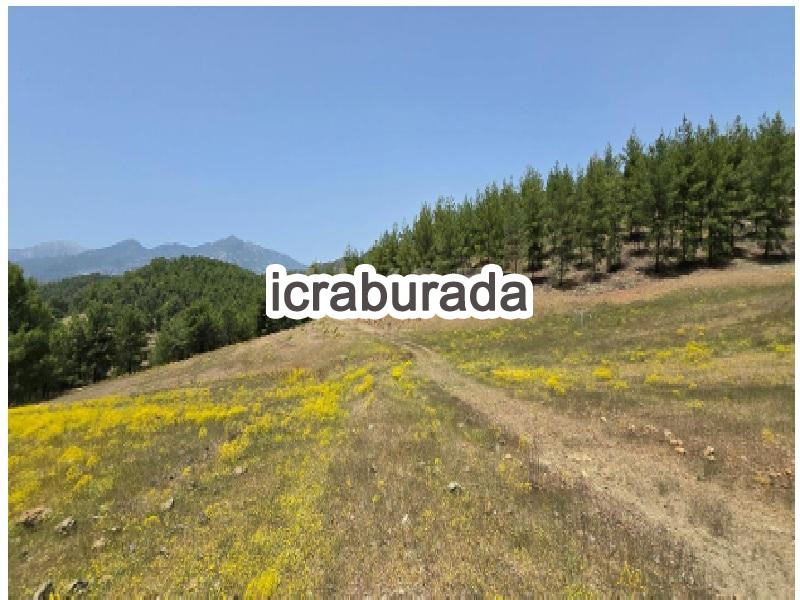 icralık  m2 Tarla Muğla Seydikemer Çobanlar