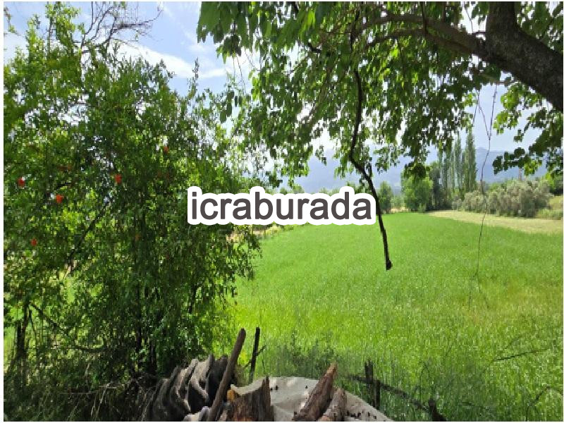 icralık  m2 Tarla Muğla Seydikemer Çobanlar
