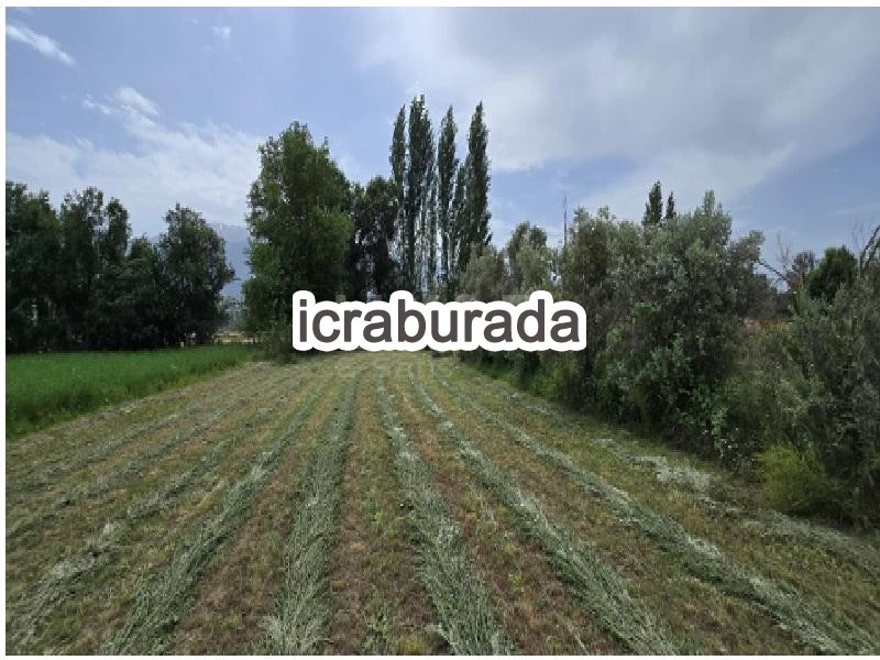 icralık  m2 Tarla Muğla Seydikemer Çobanlar