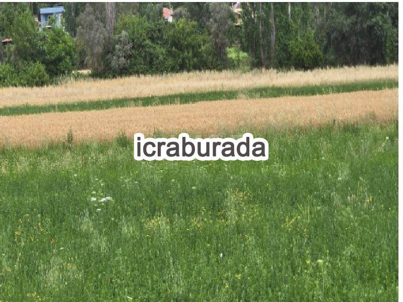icralık  m2 Tarla Muğla Seydikemer Çobanlar