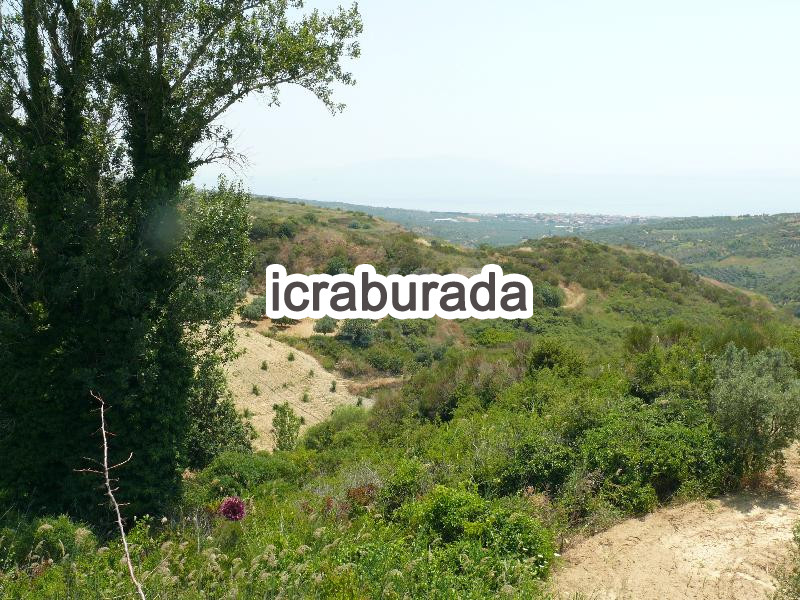 icralık  m2 Bag Tekirdağ Şarköy Tepeköy