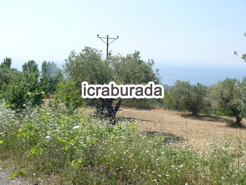 icralık  m2 Bag Tekirdağ Şarköy Tepeköy