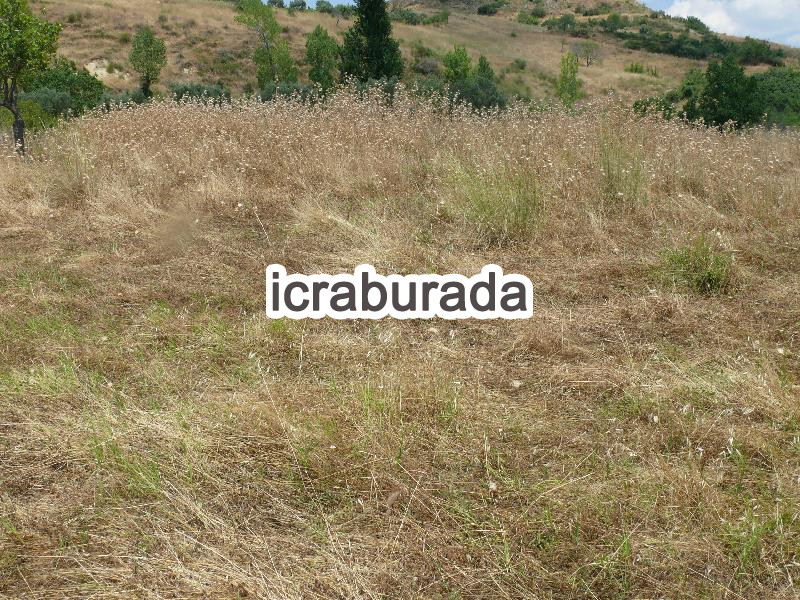icralık  m2 Tarla Tekirdağ Şarköy Tepeköy