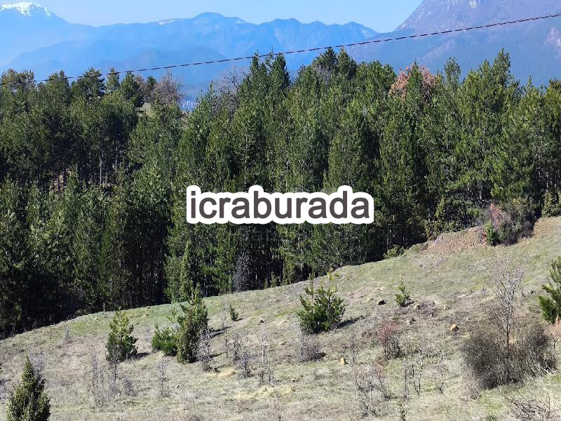 icralık  m2 Diger Karabük Safranbolu Aşağidana