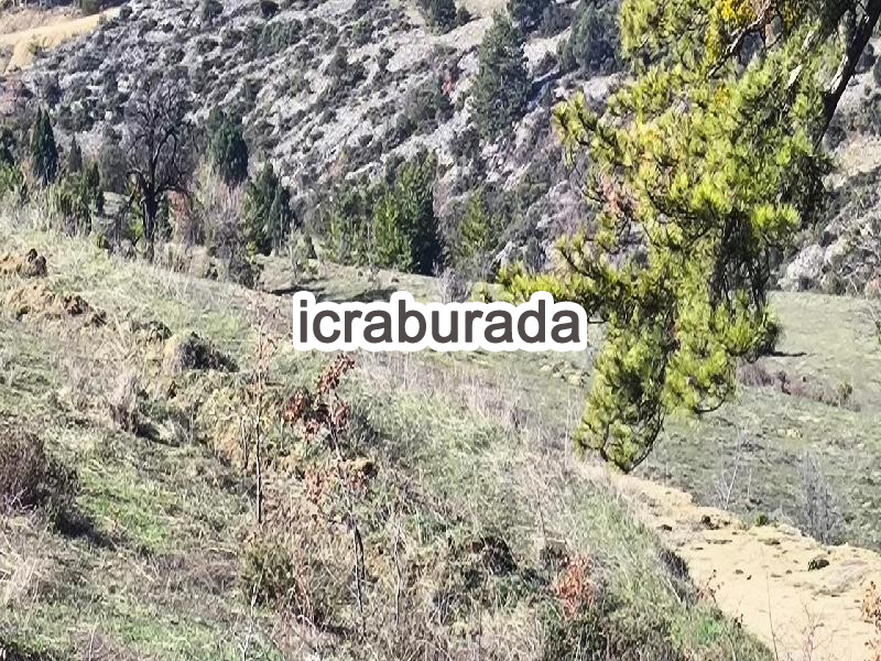 icralık  m2 Diger Karabük Safranbolu Aşağidana
