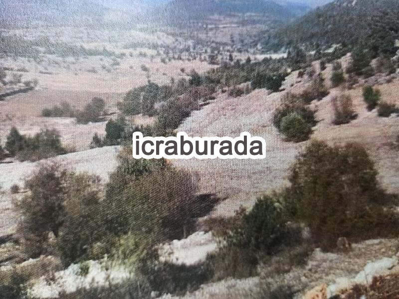 icralık  m2 Tarla Mersin Çamlıyayla Sarikavak