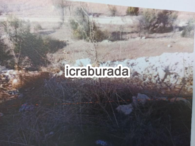 icralık  m2 Tarla Mersin Çamlıyayla Sarikavak