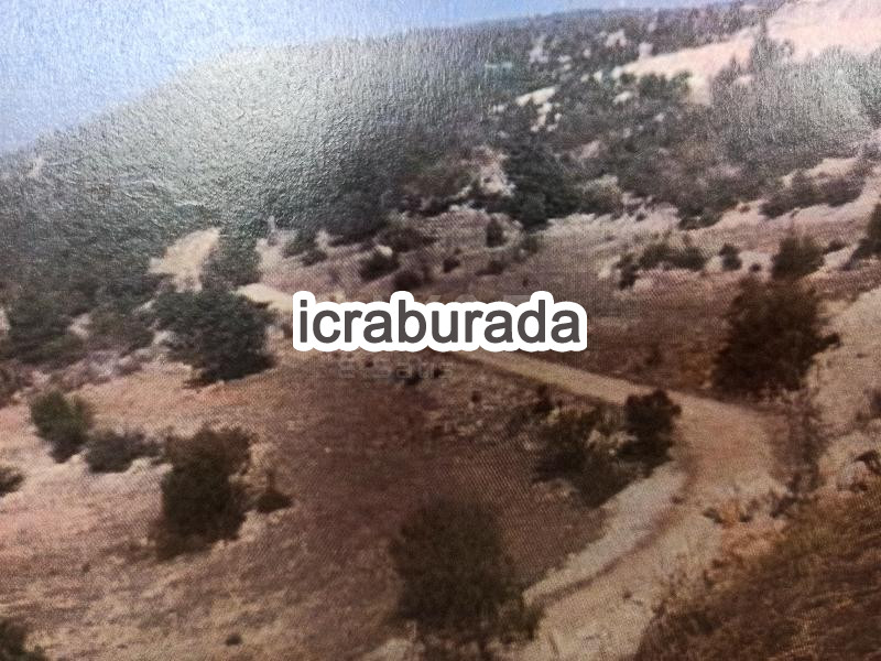icralık  m2 Tarla Mersin Çamlıyayla Sarikavak