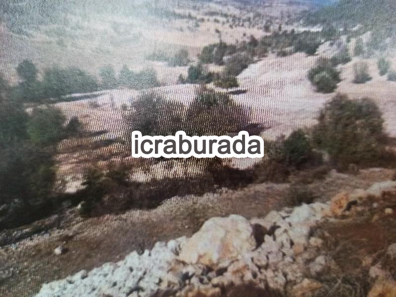icralık  m2 Diger Mersin Çamlıyayla Sarikavak