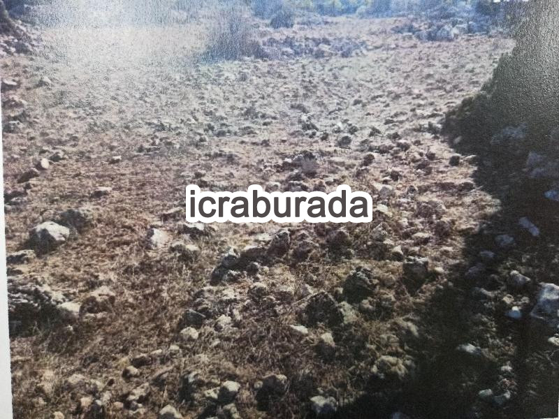 icralık  m2 Tarla Mersin Çamlıyayla Sarikavak