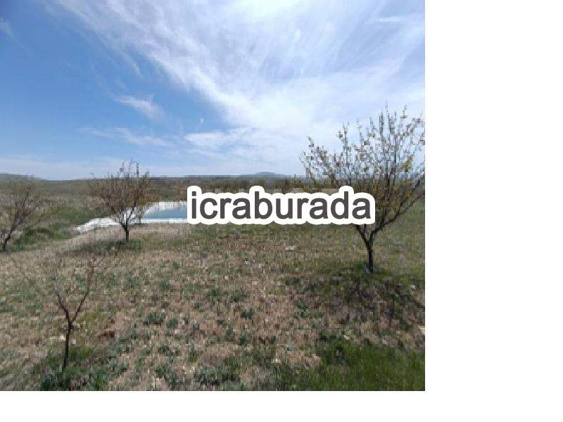 icralık  m2 Tarla Malatya Hekimhan Güzelyurt