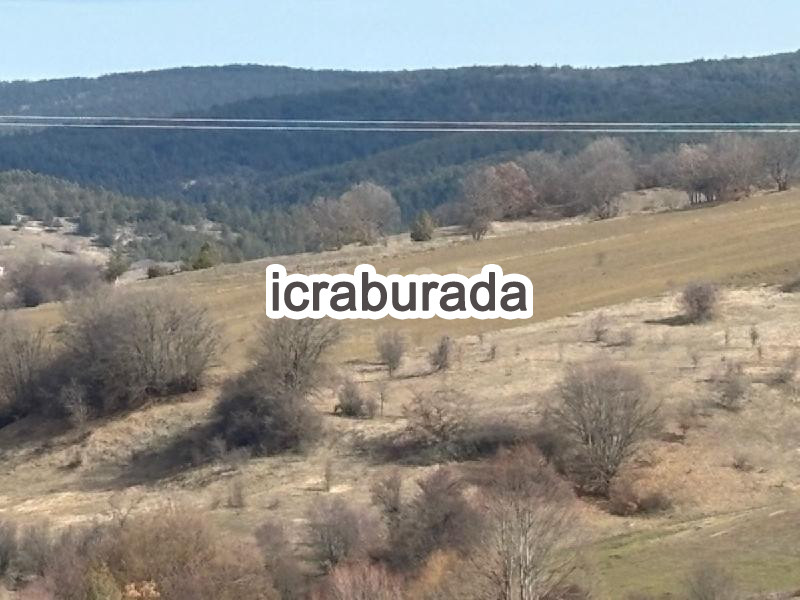 icralık  m2 Tarla Karabük Eflani Karacapinar