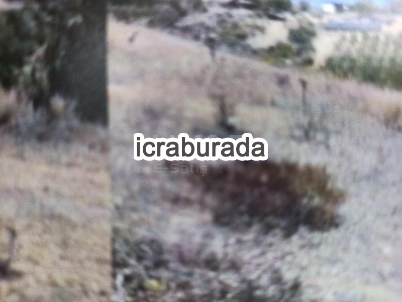 icralık  m2 Tarla Mersin Tarsus İncirgediği