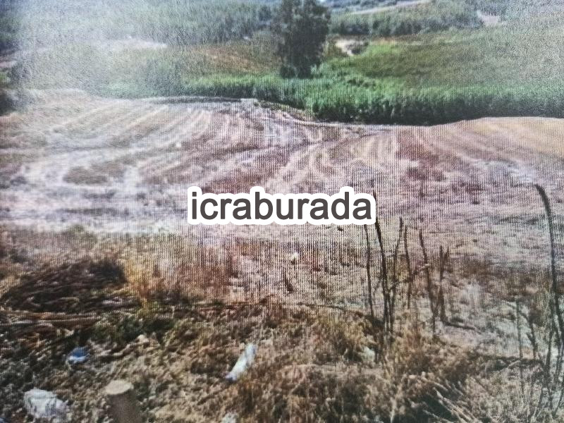 icralık  m2 Diger Mersin Tarsus İncirgediği
