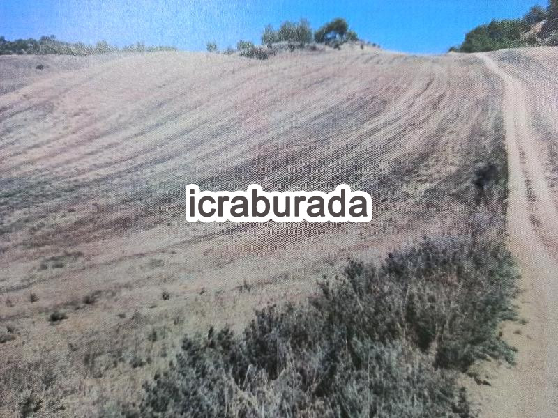 icralık  m2 Tarla Mersin Tarsus İncirgediği