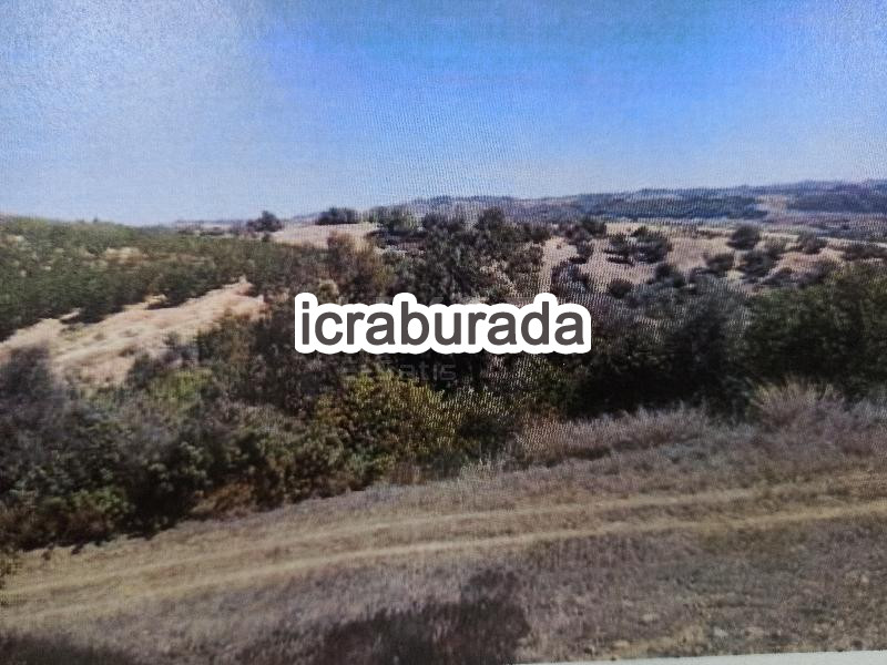 icralık  m2 Tarla Mersin Tarsus İncirgediği