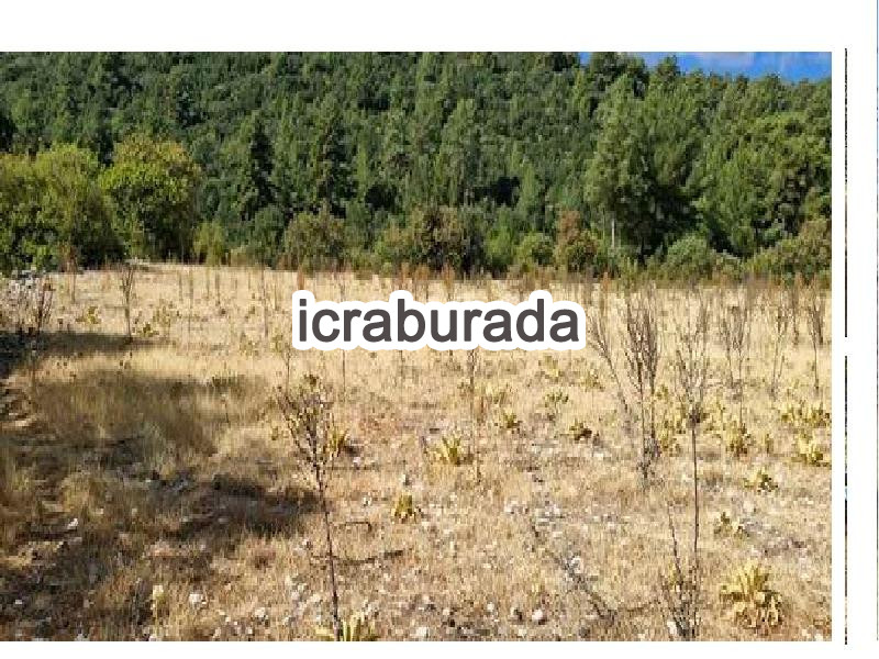 icralık  m2 Tarla Antalya Kaş Çataloluk